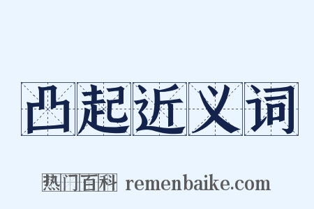 凸起近义词是什么意思的图片